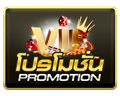 icon-promotion